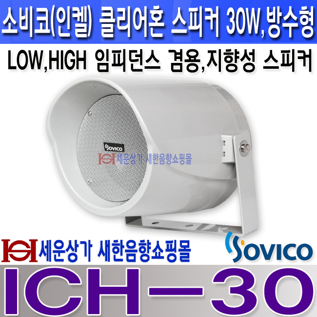 ICH-30 LOGO.jpg